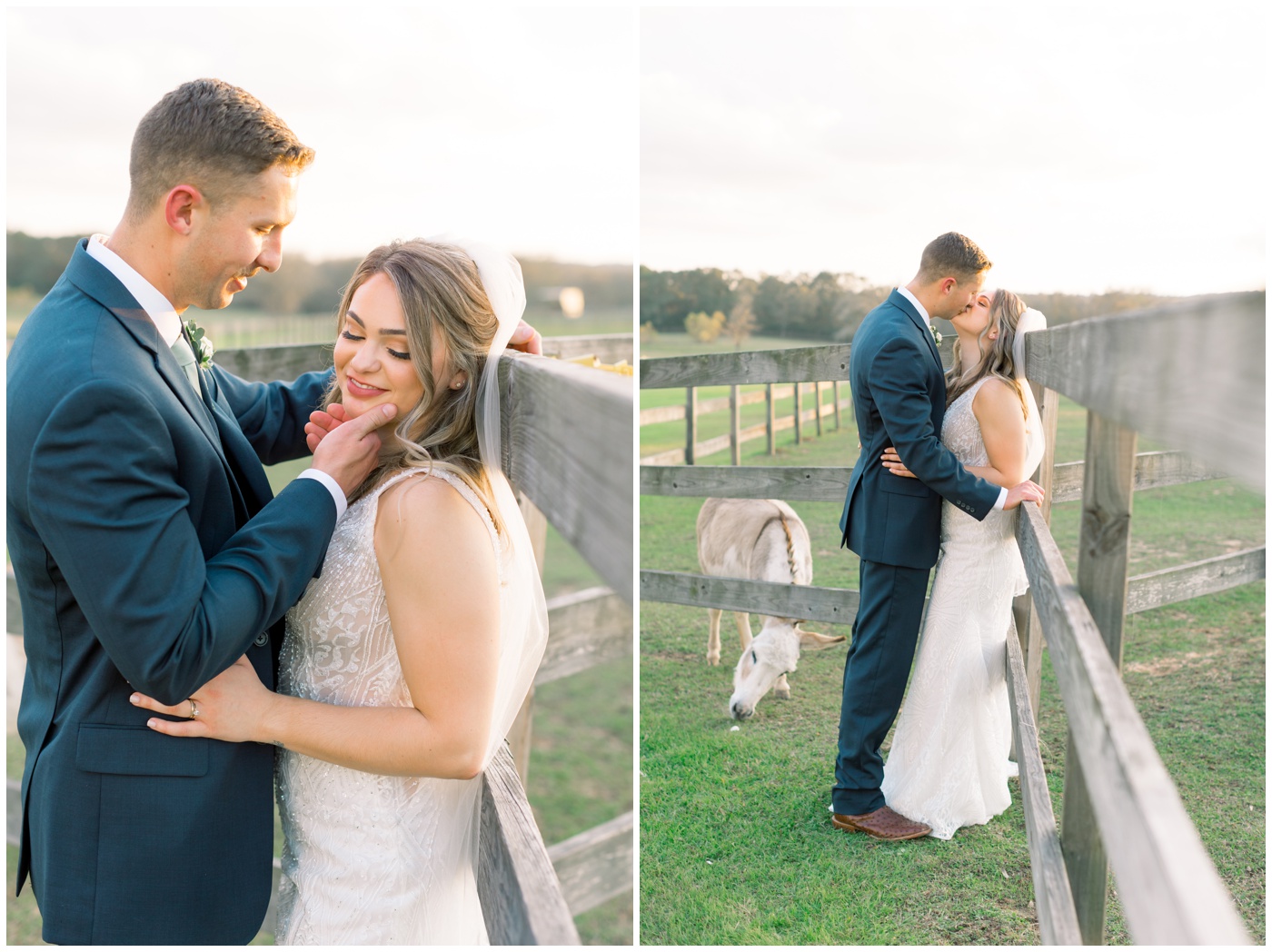 Texas farmhouse wedding | the groom pulls his bride in softly for a kiss with a donkey in the background