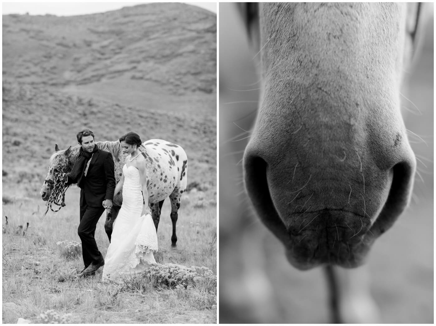 Wedding in the mountains | A couple walk next to their horses on their wedding day