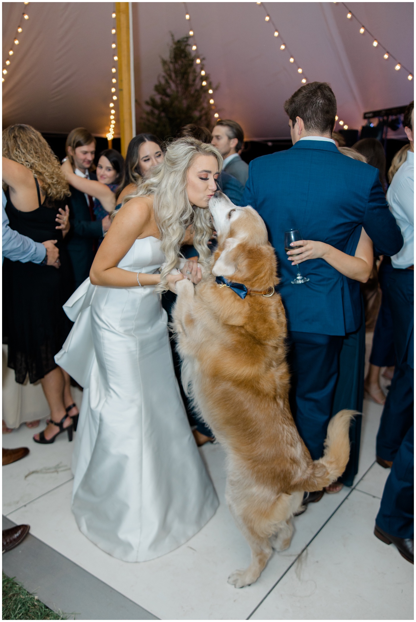 The bride dances with her dog during the wedding reception
