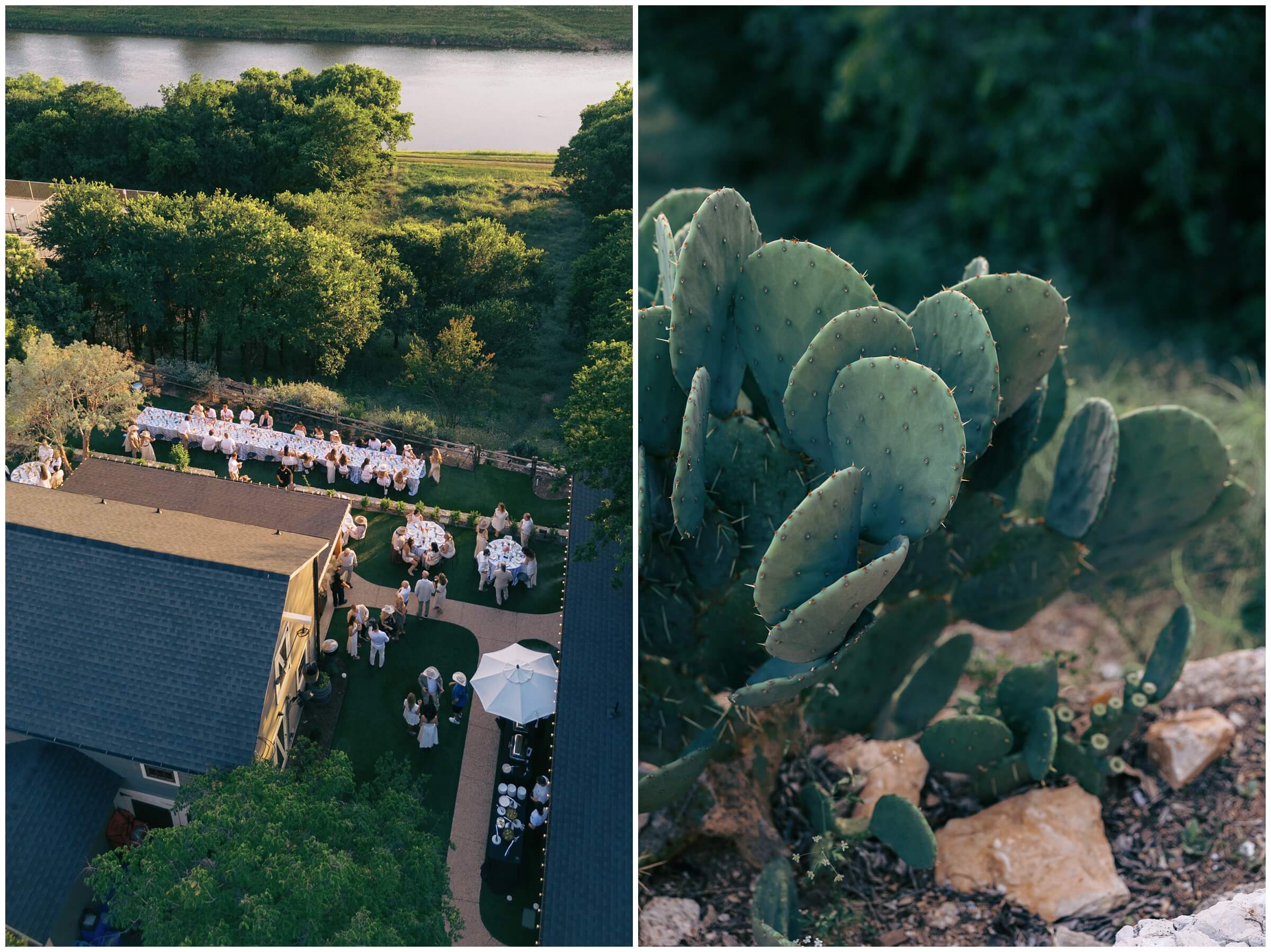 DFW Wedding Photographer | Destination Wedding Photographer | rehearsal dinner details